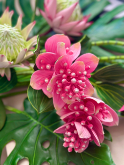 Готовая работа из полимерной глины "Тропики"