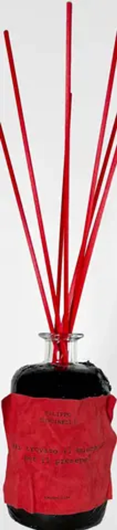 FILIPPO SORCINELLI HAI TROVATO IL MUSCHIO PER IL PRESEPE DIFFUSER 500 ML