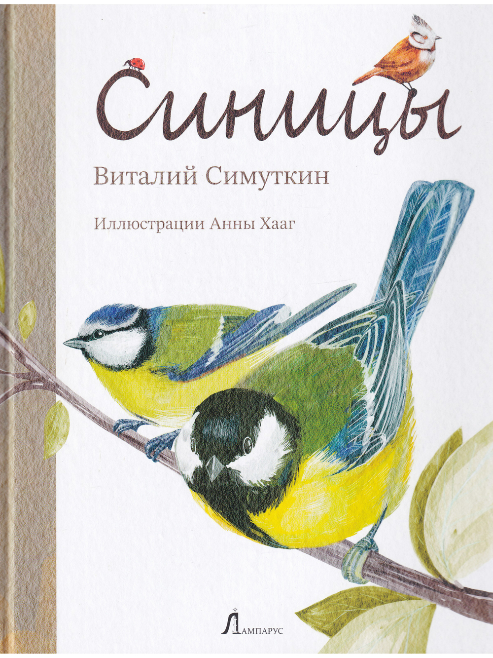 Синицы