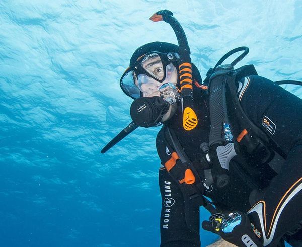 Aqua Lung Calypso 2017