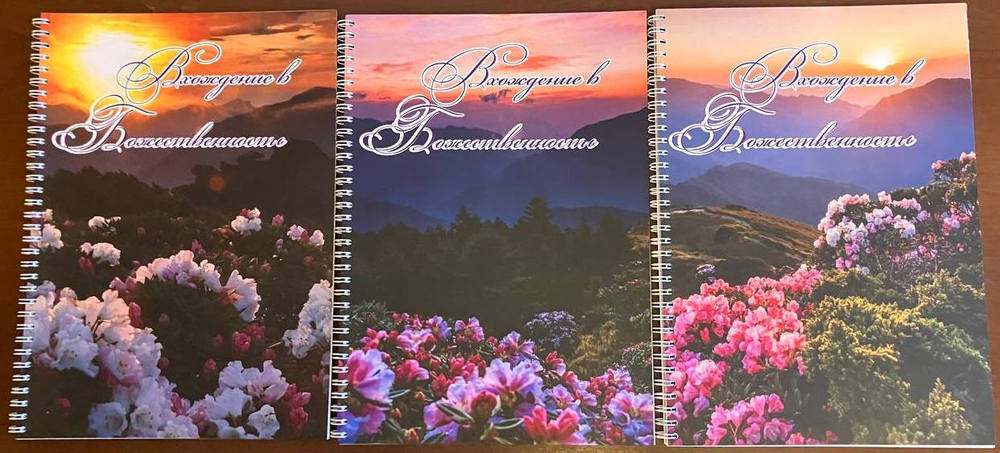 Заявка на брошюры "Вхождение в Божественность"