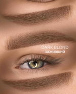dark blond 5 ml  icolor пигмент для бровей