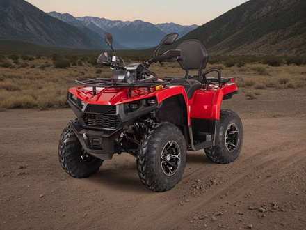 Квадрицикл Bizon YK250 LUX EFI (ПТС)