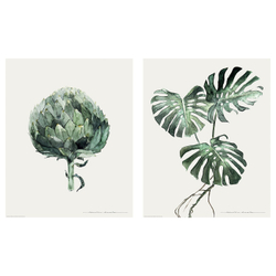 IKEA BILD  (ИКЕА БИЛД)  -  Постер, Зеленые листья, 40x50 см