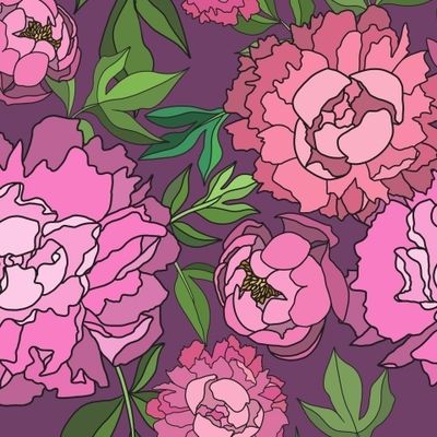 Розовые пионы на фиолетовом фоне