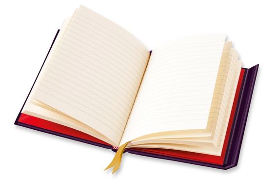 Bloknot \ Блокнот \ Notebook Anna Stead: For Spells &amp; Potions (Foiled Journal)