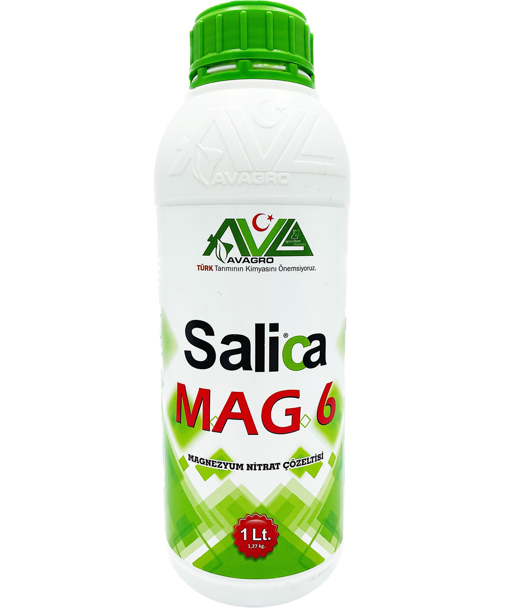 Salica Mag6