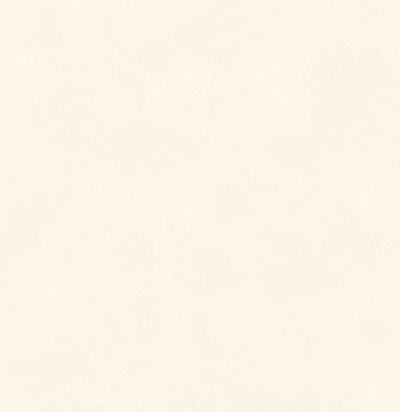 Обои матовые с иммитацией штукатурки BLONE1010