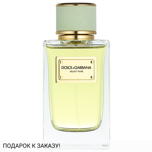 Dolce and Gabbana Velvet Pure