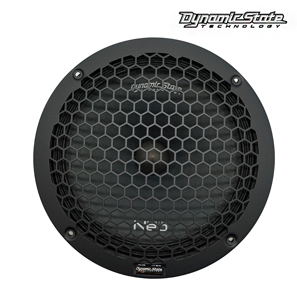 Dynamic State Neo NM-25.1N мидвуфер 10″ / 250 мм
