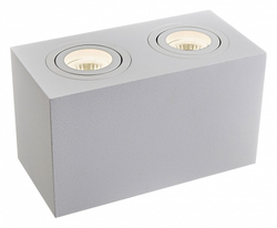 Накладной светильник Maytoni Technical C017CL-02W