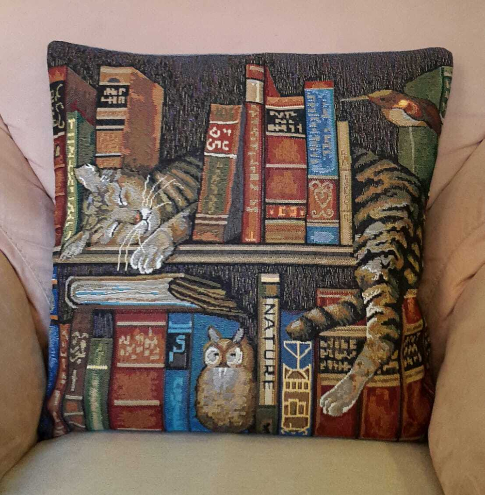 Декоративный гобеленовый чехол для интерьерной подушки Библиотекарь 47*47