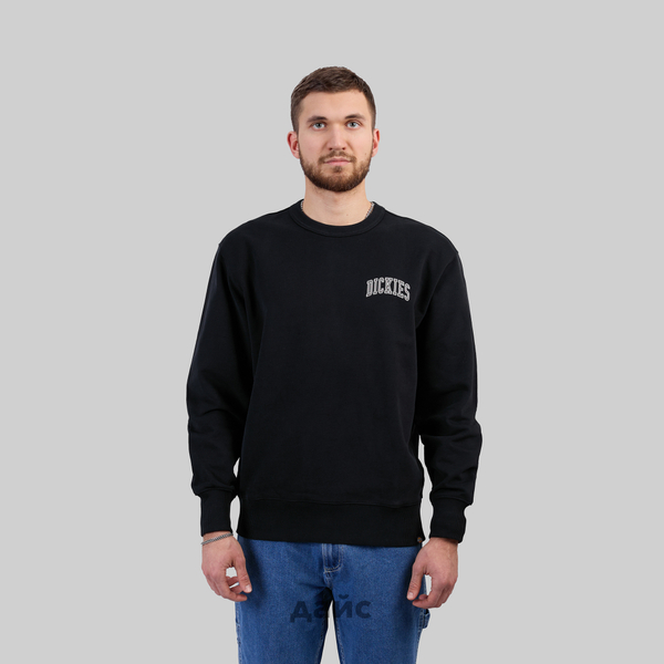 Толстовка мужская Dickies Aitkin Chest Sweatshirt артикул:DK0A4YBGJ941 - купить в магазине Дайс