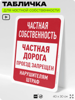 Табличка для частной территории "Частная собственность, дорога", на дом, для участка, организаций, предупреждающая, 40х30 см, Silver Plane x Айдентика Технолоджи