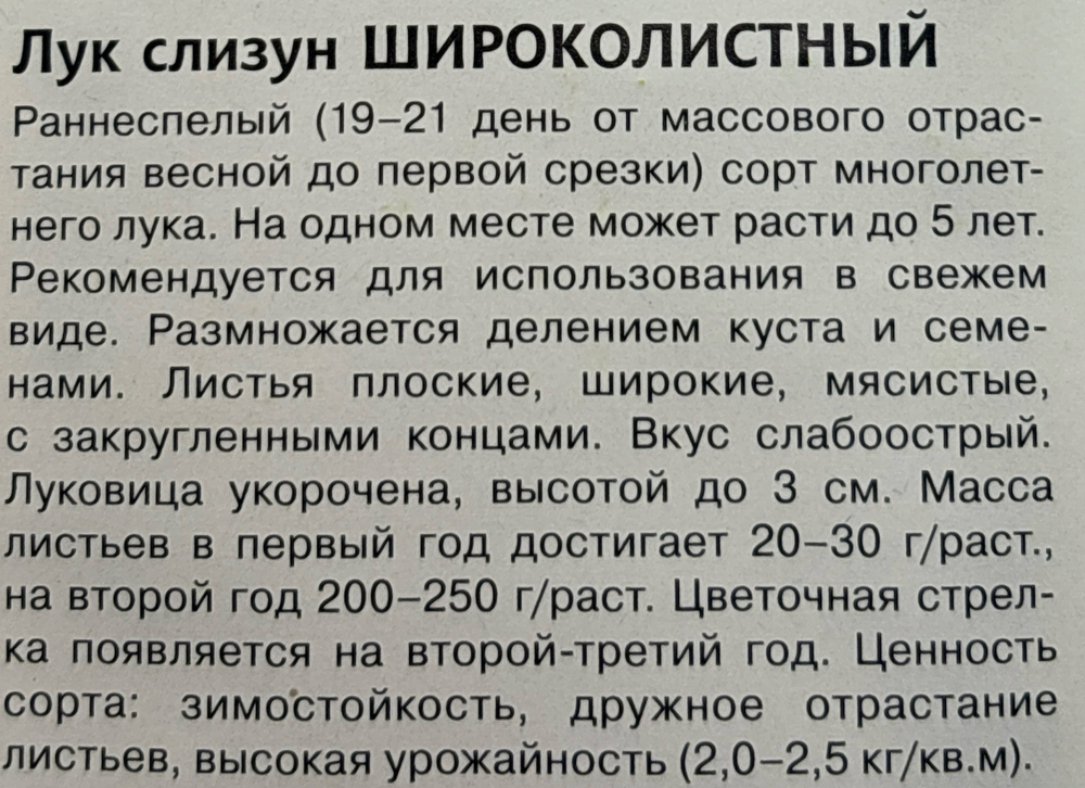 Лук  слизун Широколистный 0,5 г СМЗ-18