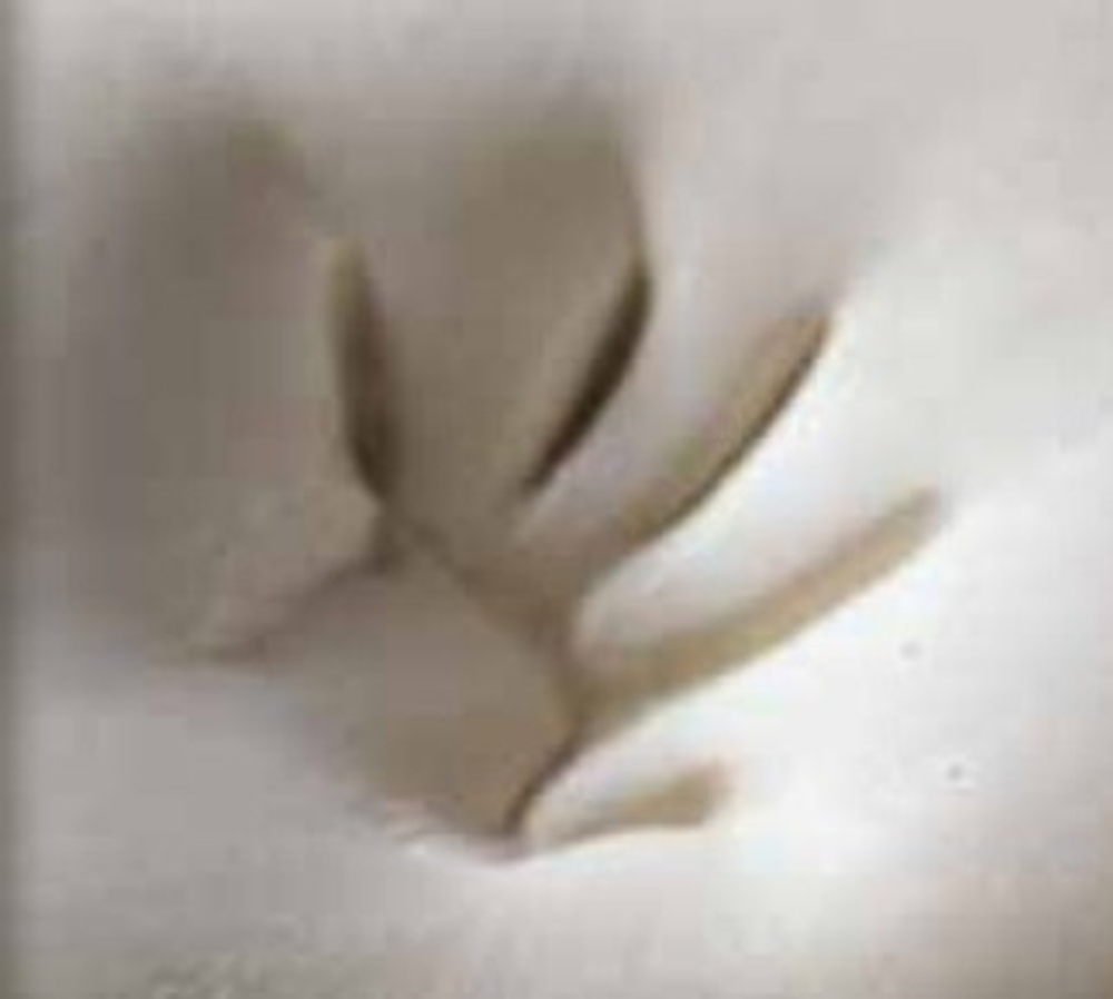 Матрас ортопедический Lordflex's Cover 90х200 до 95 кг эффект памяти