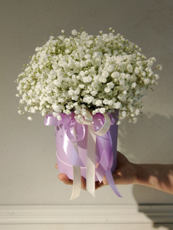 Трендовая гипсофила в разноцветной гамме (КМ0001)