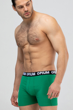 Мужские трусы R-152 Green Opium