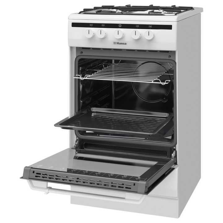 Газовая плита Hansa FCGW51001