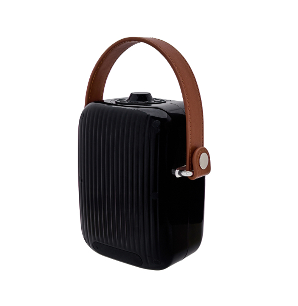 Беспроводная колонка Alive Audio Journey (Black)