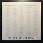 Terence Trent D'Arby (Европа 1987г.)