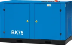Винтовой компрессор Remeza ВК75-2 О