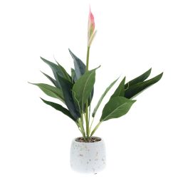 GAEM Цветочная композиция "Спатифиллум", L17 W12 H40 см