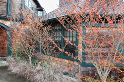 Plants for the Winter Garden