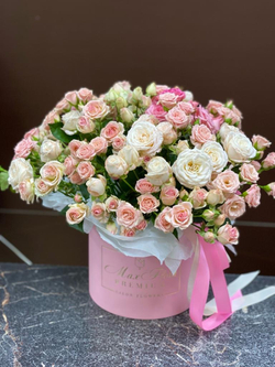 Приятная встреча ШК-345