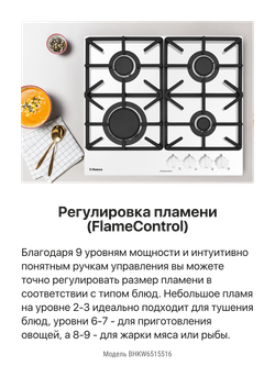 Газовая панель Hansa BHKW6515516