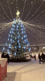 большая уличная елка