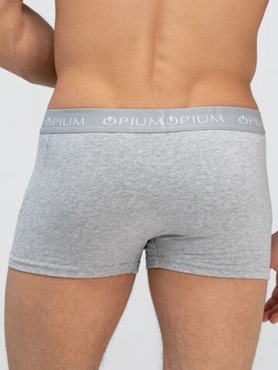 Классические удобные облегающие боксеры (Размер: L) (Цвет: серый меланж)