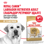 Сухой корм Royal Canin Labrador Retriever Adult для взрослых собак породы Лабрадор Ретривер от 15 месяцев 12кг