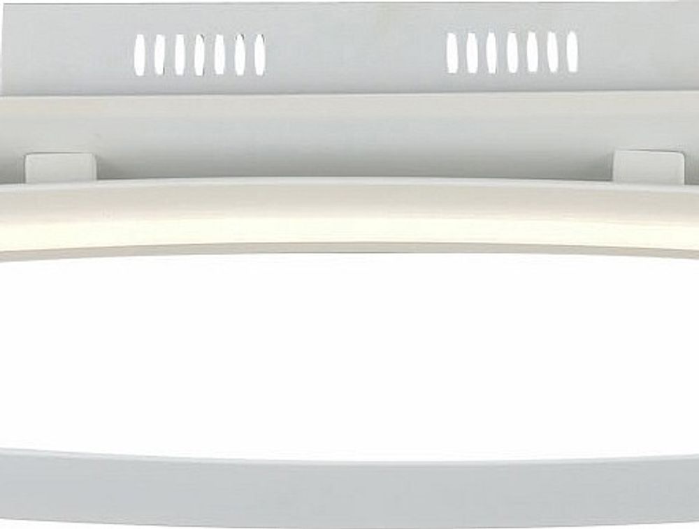 Накладной светильник ST-Luce SL920 SL920.102.01