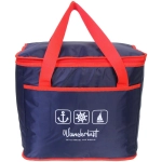 Термосумка 35 л, 40*25*35 см, WM707*4