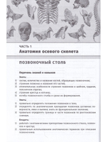 Остеология