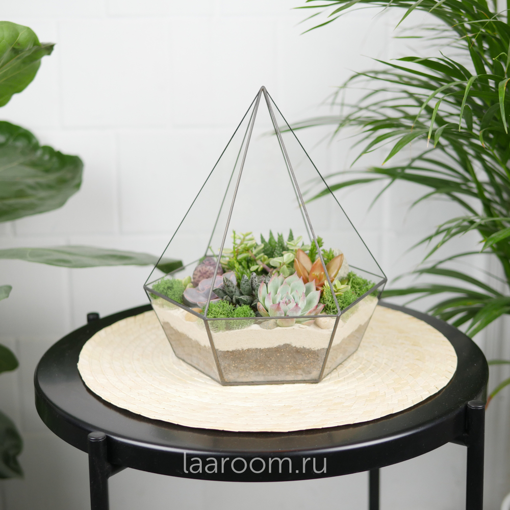 Флорариум с суккулентами Алмаз Laaroom