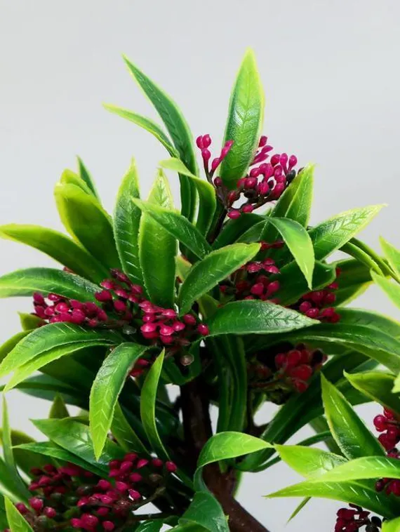 Бонсай в горшке "Деревце яркое" 10х20 см, микс