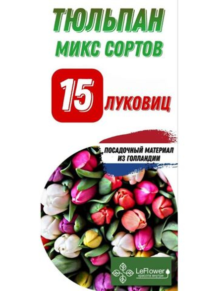 Тюльпан Луковица, Микс сортов, 15шт