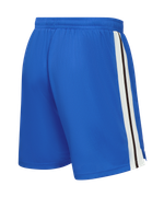 Шорты баскетбольные JÖGEL DIVISION PerFormDRY Shorts Z2, синий