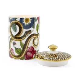 Spode - Свеча керамическая Creatures of Curiosity 15x9см / артикул   CRCWH8958-XG  / GTIN 749151785939