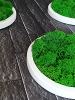 Круглое панно на стену из мха набор 3 шт.