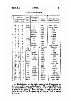 A Grammar of the Irish Language | P. W. Joyce