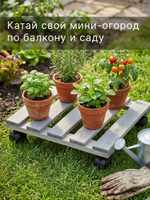 Подставка для цветов, 30х30х7, Флорэль, круглая на колесиках, этажерка, напольное, на подоконник, полка, из массива дерева, серый