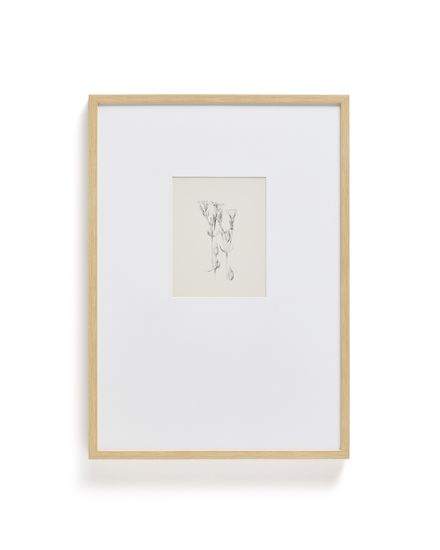 Картина Lirena с ботанической иллюстрацией 50 x 70 см