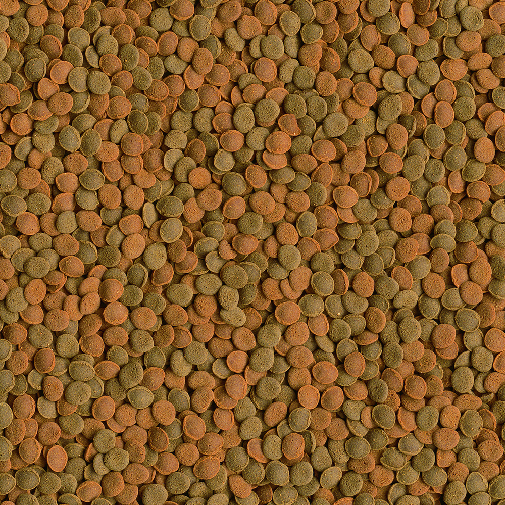 TetraWaferMix корм-чипсы для всех донных рыб 15 г (sachet)