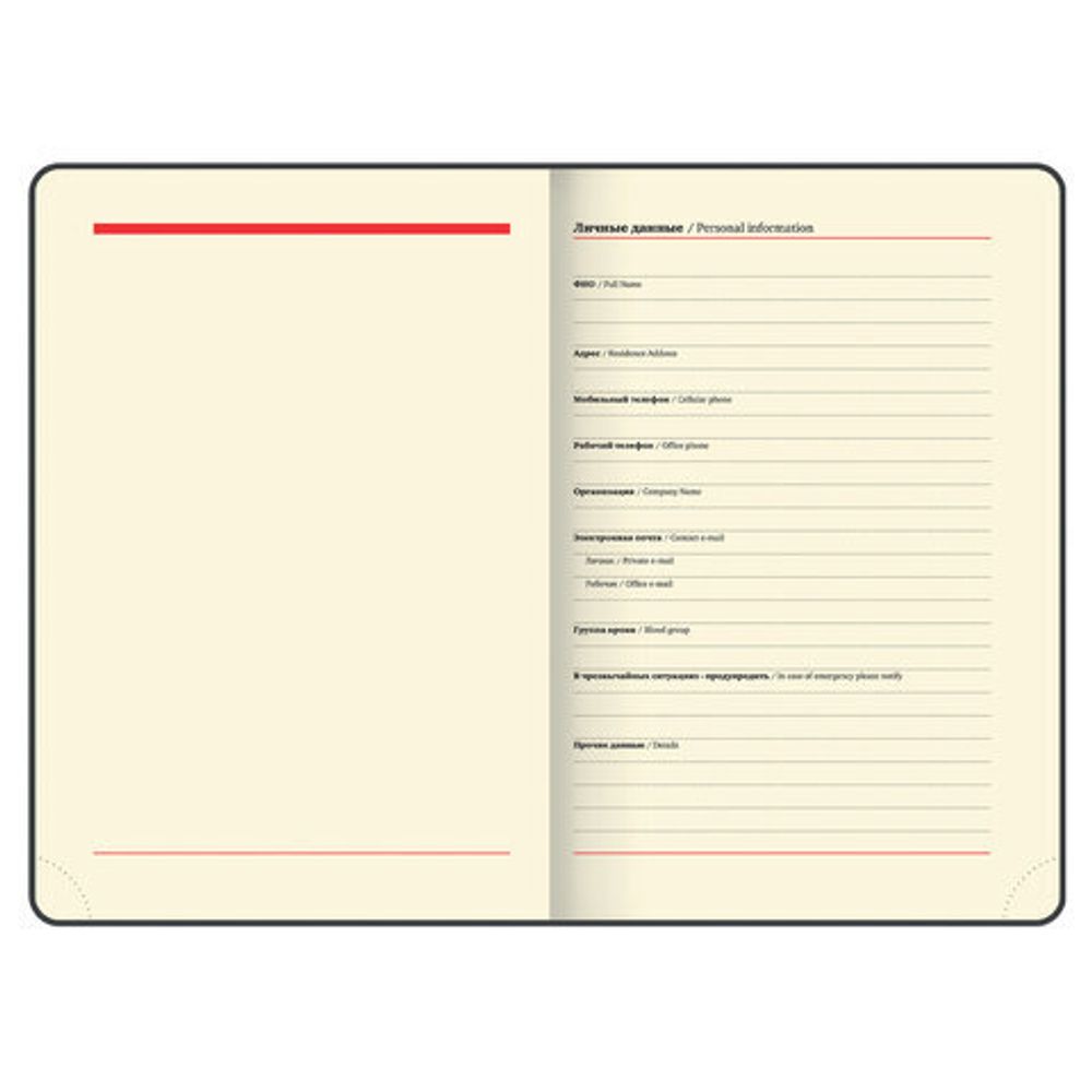 Ежедневник недатированный А5 138х213 мм BRAUBERG "Iguana", под кожу, 160 л., тёмно-зеленый, 114457