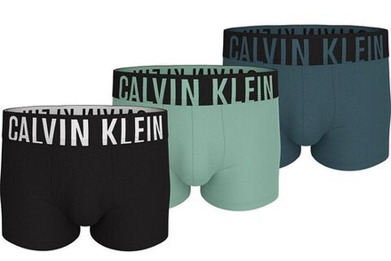 Боксерки теннисные Calvin Klein Trunk Intense Power 3P