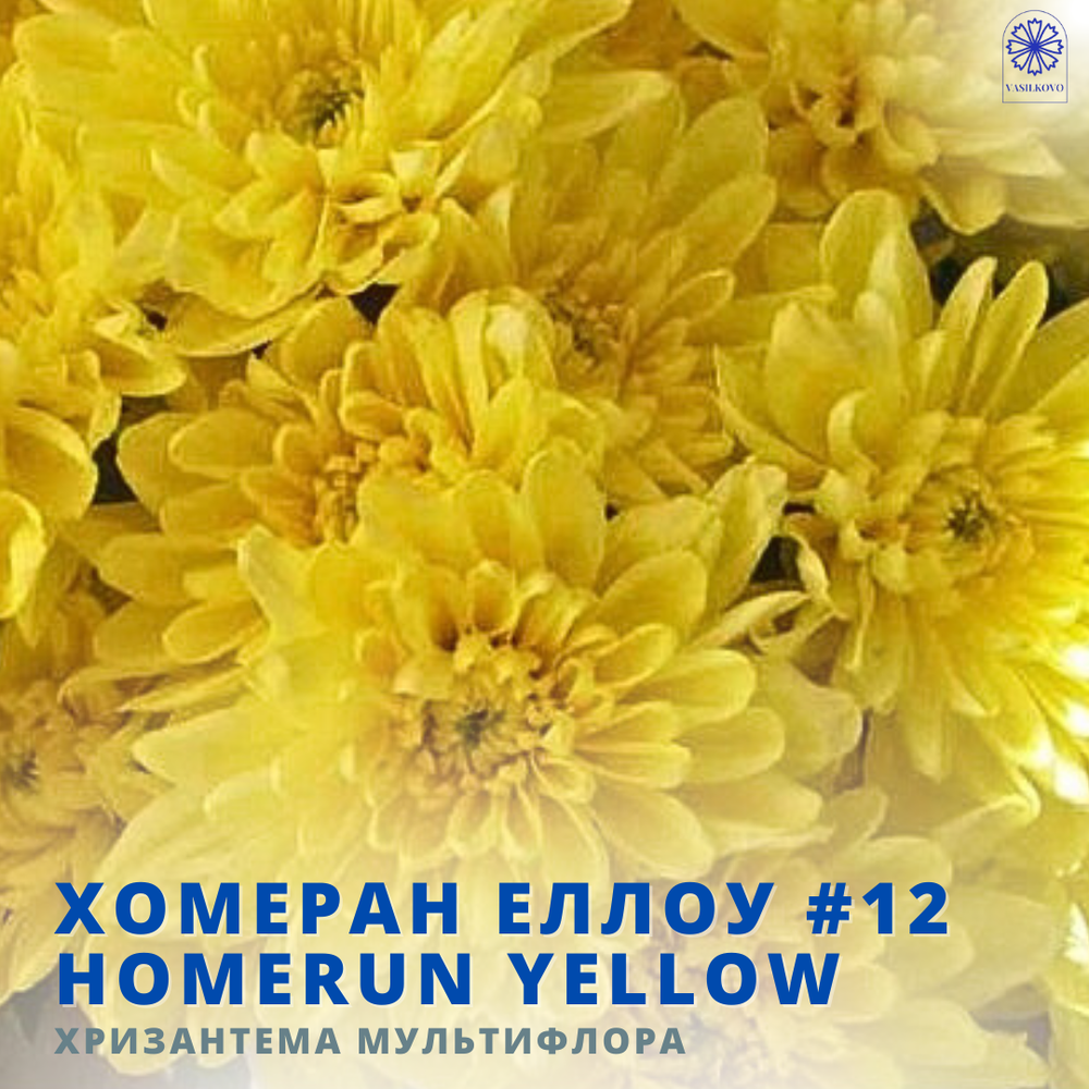 Хомеран Еллоу 12