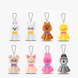 Брелок на сумку Stray Kids World Tour ＜dominATE JAPAN＞